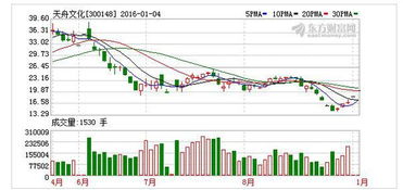 趨勢資產管理曝出最新消息，散戶投資迷霧重重